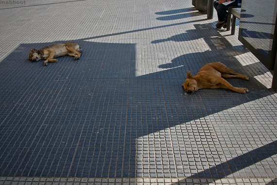 Chill-Out, Chilean Style