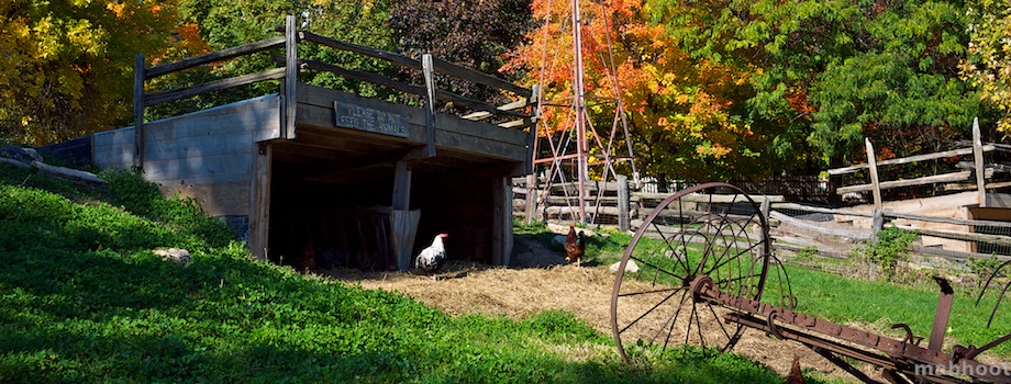 Fall @ Riverdale Farm